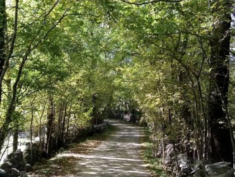 DOBRO vam razmjerno vedro jutro iz Tomislavgrada!