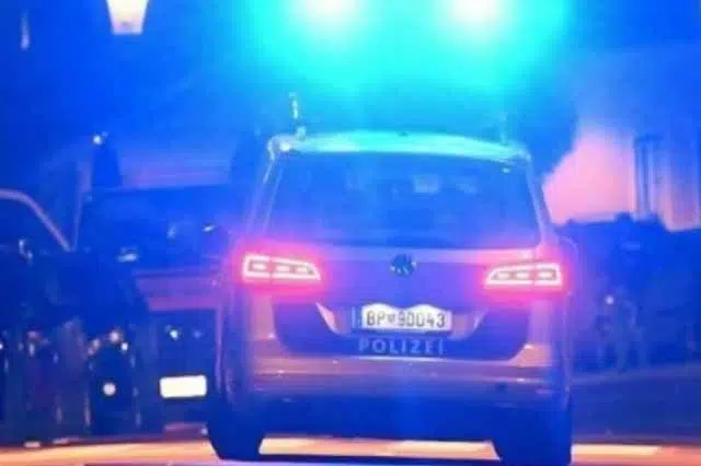 Vozač iz BiH povrijeđen nakon što je na njega naletio Sirijac |