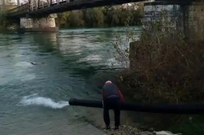 FOTO | Neretva u Čapljini poribljena pastrmkom