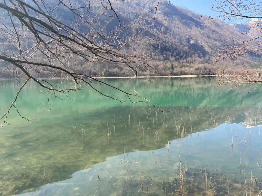 OSR Konjic: Uginuće šarana na Boračkom jezeru