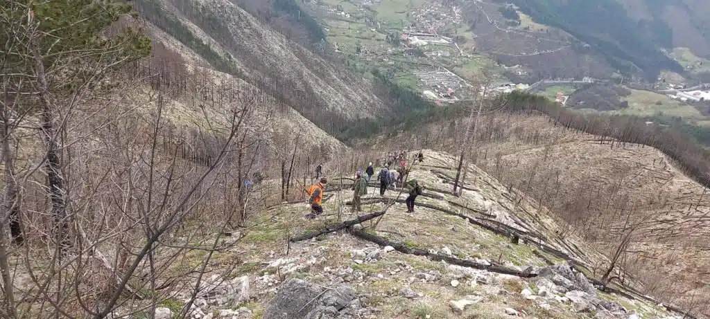 Šumarstvo “Prenj” Konjic: U toku akcija jesenjeg pošumljavanja