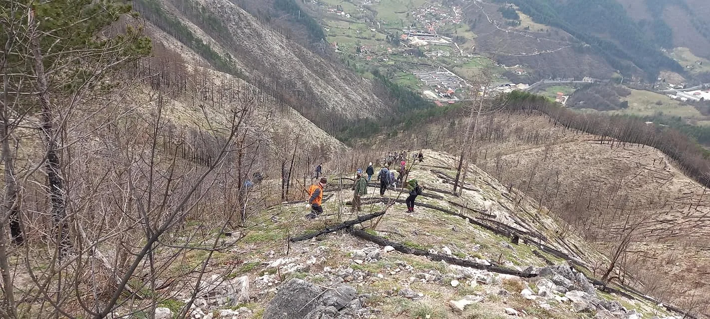 Šumarstvo “Prenj” Konjic: U toku akcija jesenjeg pošumljavanja