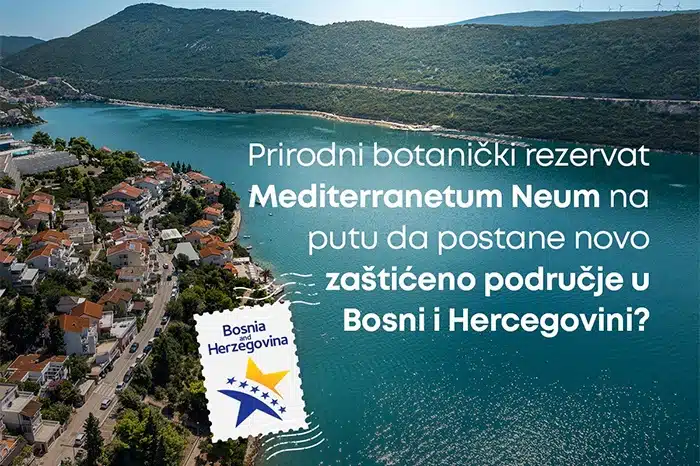 Poluotok Klek u Neumu postaje zaštićeno područje – Neum će dobiti botanički rezervat?