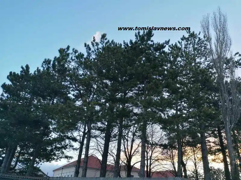 VIDEO: DOBRO vam pretežito vedro i hladno nedjeljno jutro iz Tomislavgrada!