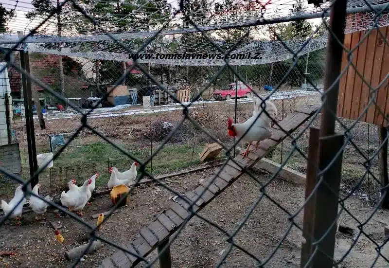 DOBRO vam vedro i sunčano jutro iz Tomislavgrada!