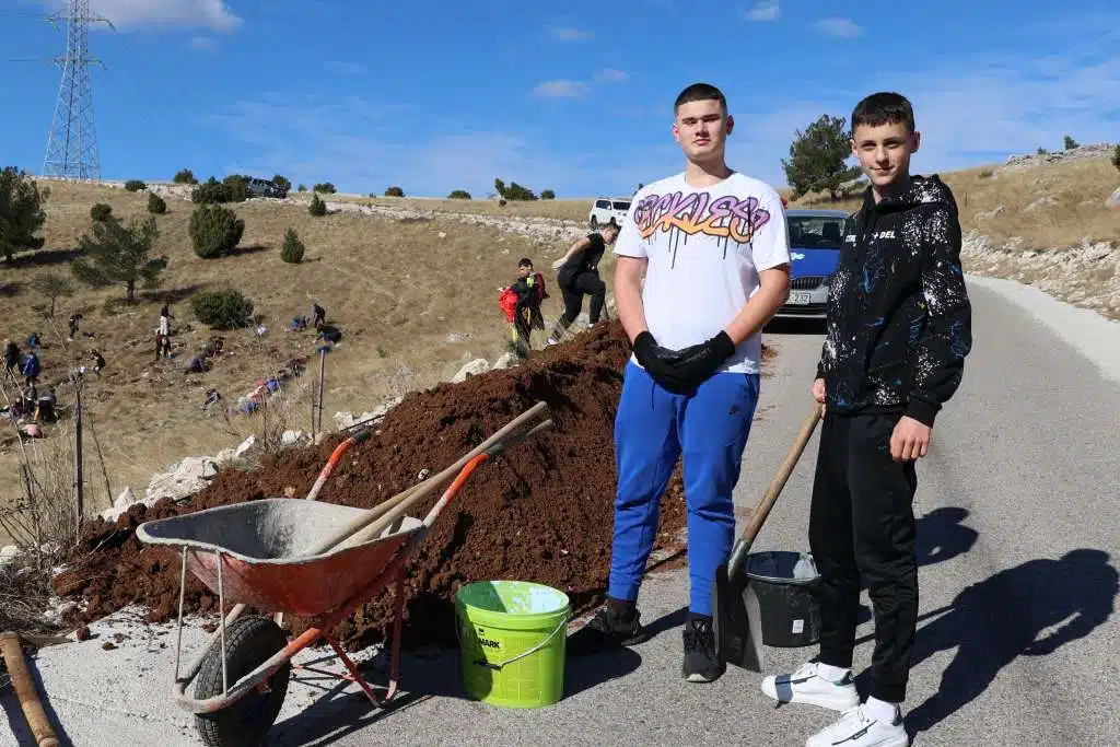Mostarski učenici posadili tisuću sadnica crnog bora na Fortici (VIDEO)