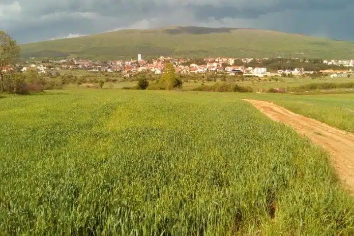 Posušje: Javni poziv za prikupljanje prijava za sufinanciranje u poljoprivredi