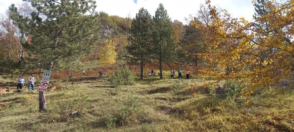 Šume i inovacije : Pošumljavanje uz pomoć drona