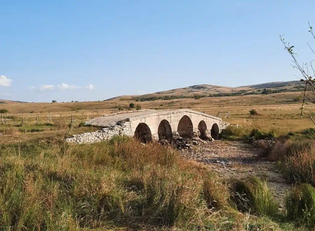 Devastacija povijesnih lokaliteta u Šujici