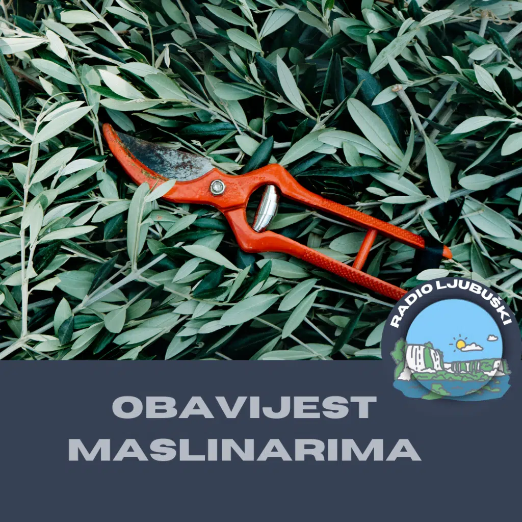 FAZ Mostar : Obavijest maslinarima