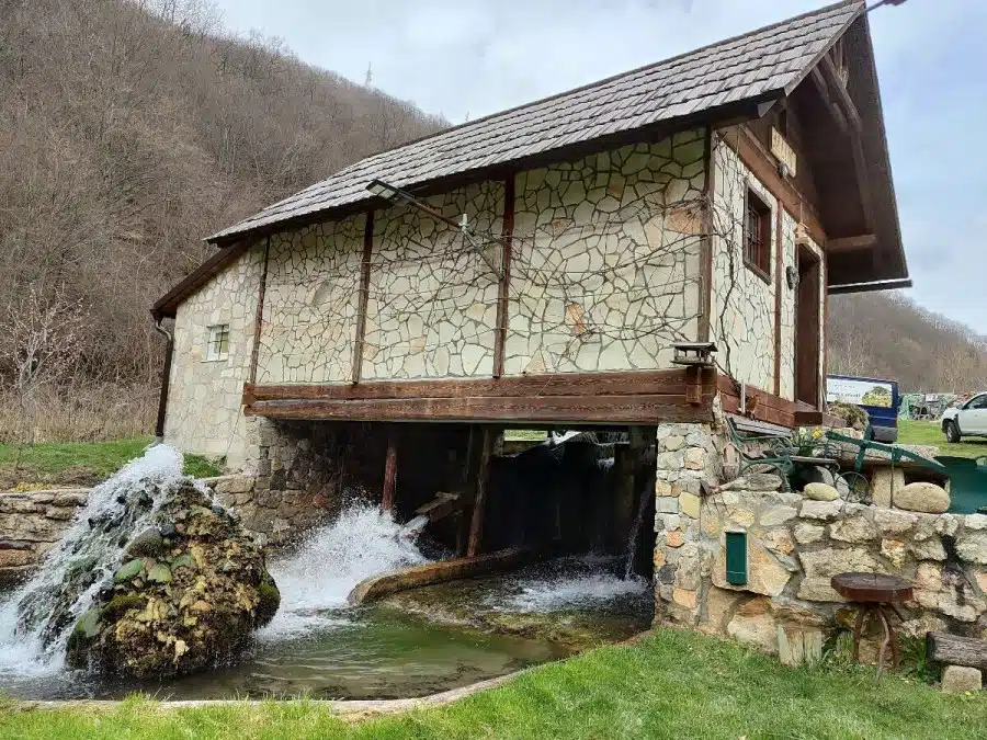 Obitelj Jurić u Ljubuncima u općini Prozor-Rama oživjela nekadašnju tradiciju