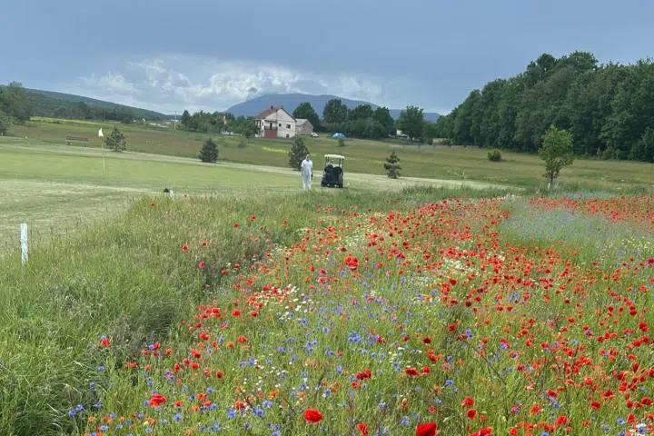 Golf klub Posušje: Počinje President cup na Topali sa rekordnim brojem igrača