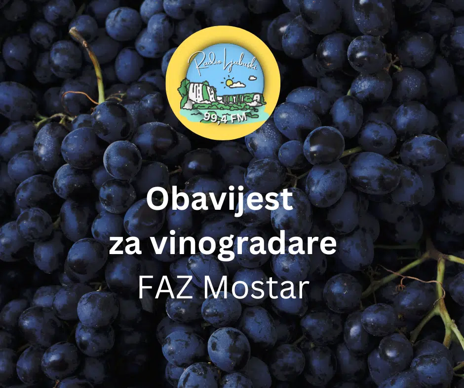 FAZ: Obavijest vinogradarima