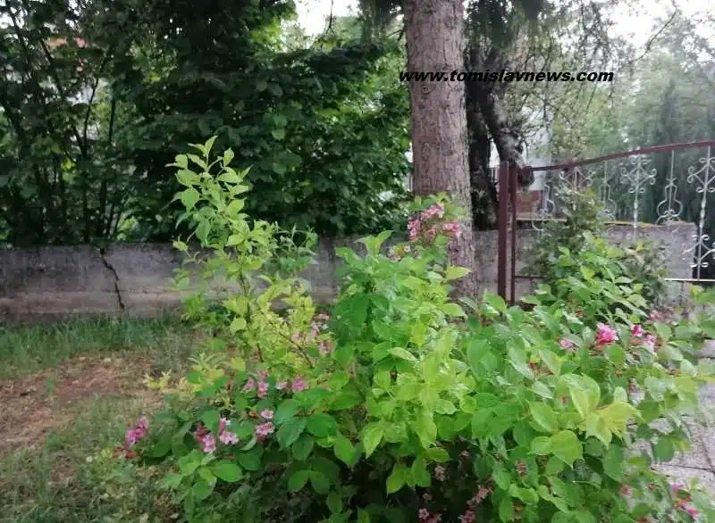 Ugodno oblačno i vjetrovito jutro iz Tomislavgrada! 🌥️🍃