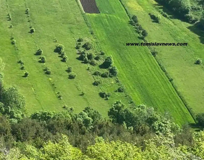 PROGNOZA vremena za naredna četiri dana: Većinom oblačno sa mogućim pljuskovima u popodnevnim satima