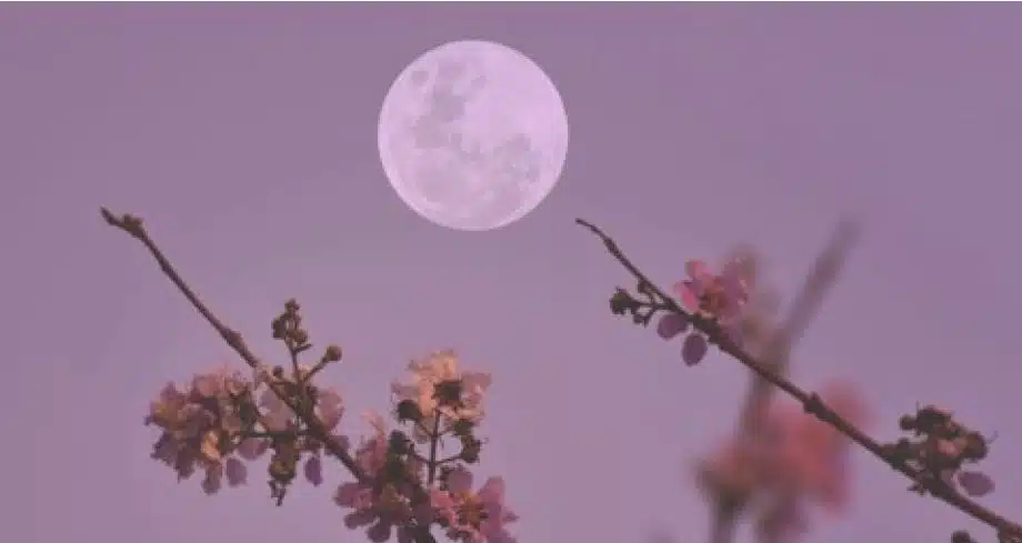 Utjecaj mladog Mjeseca u Blizancima na četiri horoskopska znaka.