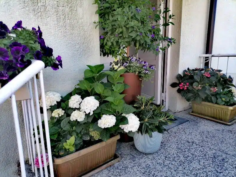 Dobro jutro iz Tomislavgrada: vedro, toplo i sparno!