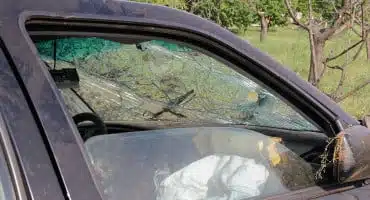 UZNEMIRUJUĆE: Livnjak brutalno zlostavljao psa, svjedoci sve snimili i prijavili policiji