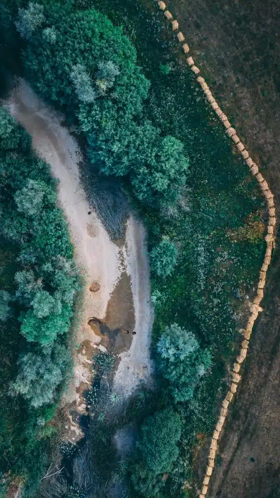 Ekološka katastrofa u Livanjskom polju