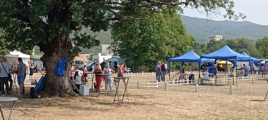 Španski izlagač osvojio pobjedu na velikoj izložbi pasa u Posušju, sa mnogo učesnika