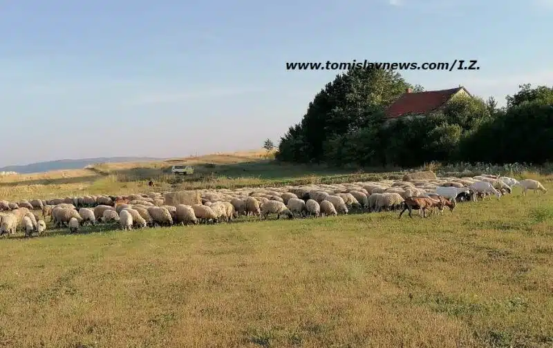 DOBRO jutro sa sunčane strane iz Tomislavgrada!