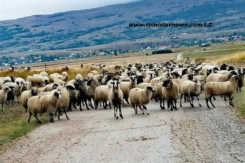 Dobro jutro iz Tomislavgrada – vedro i toplo!