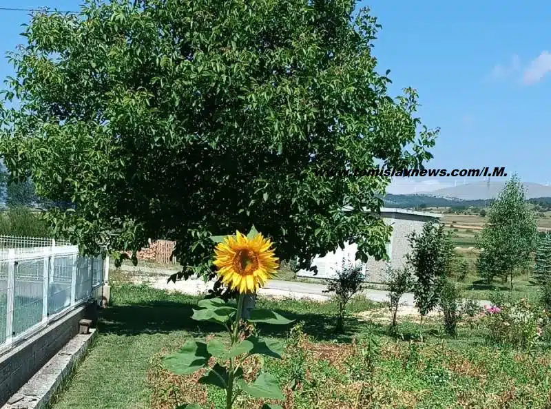 Dobro vam umjereno vedro i toplo jutro iz Tomislavgrada!