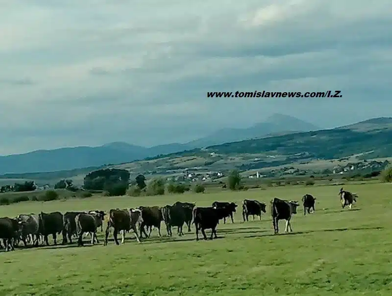 Tomislavgrad: Dobro jutro, oblačno i kišovito!