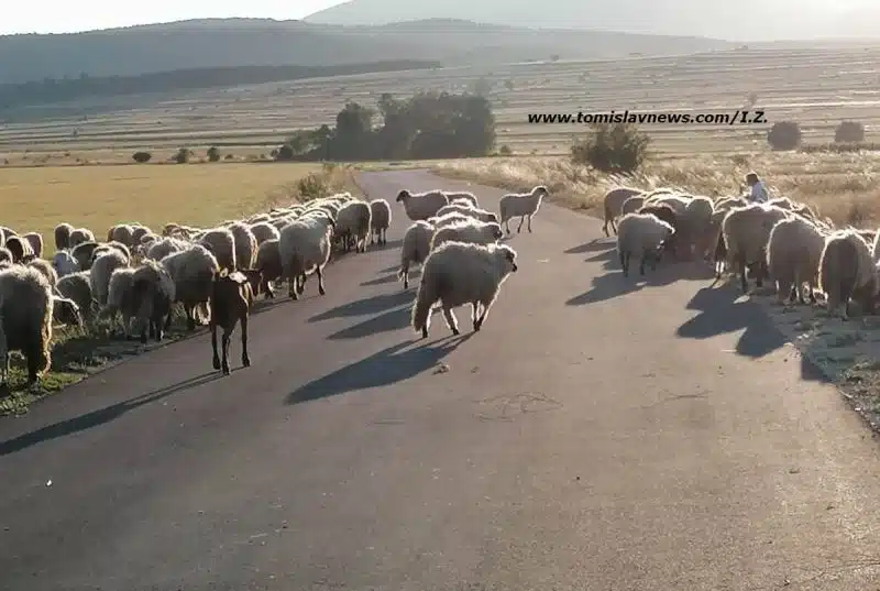 Dobro jutro i srdačan pozdrav iz Tomislavgrada!