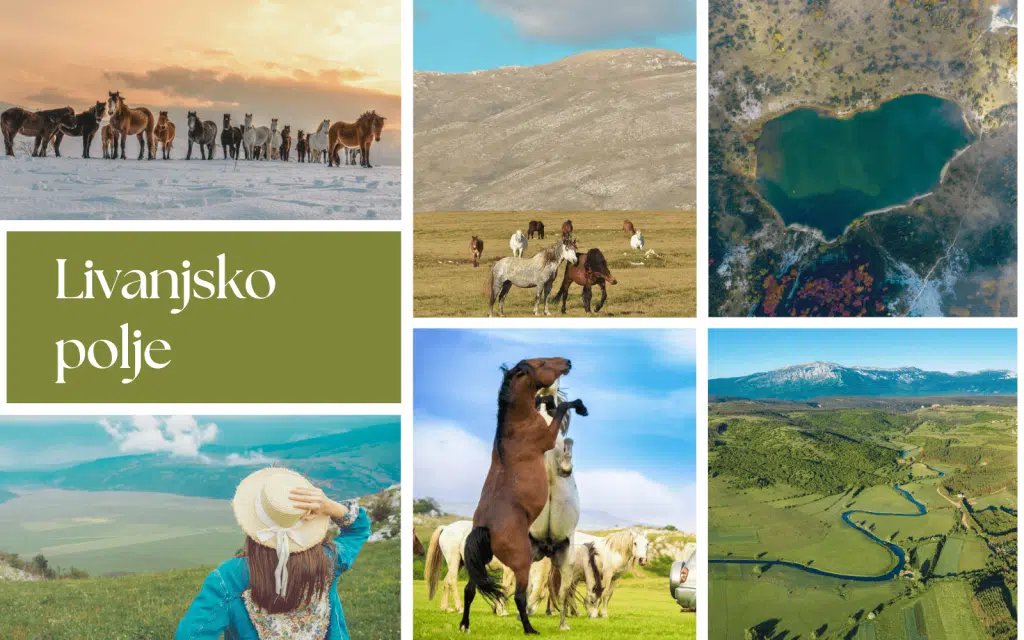 Livanjsko polje: Šum vjetra i miris livade