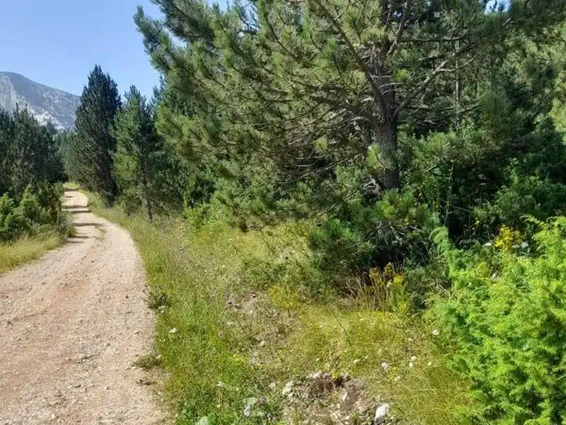 Novi Početak: Ponovno kretanje od nule.