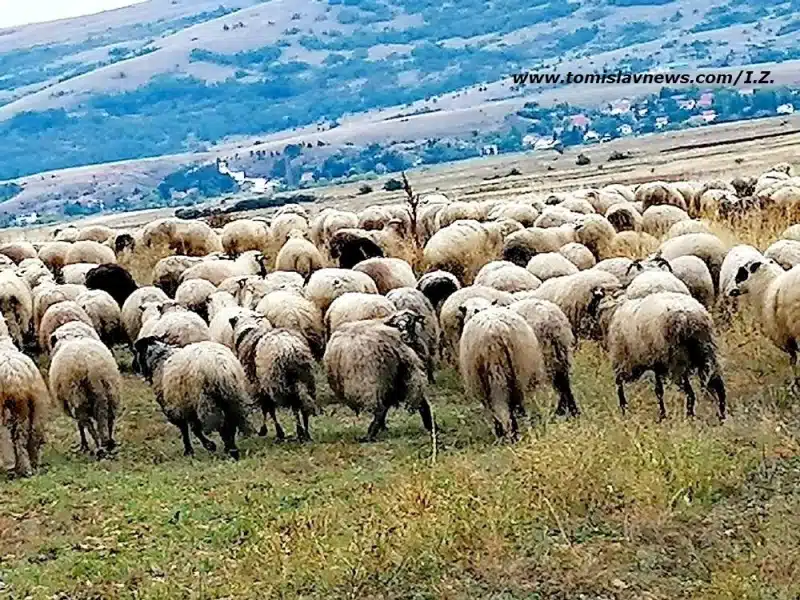 Dobro jutro sa umjerenom vedrinom i toplinom u Tomislavgradu!
