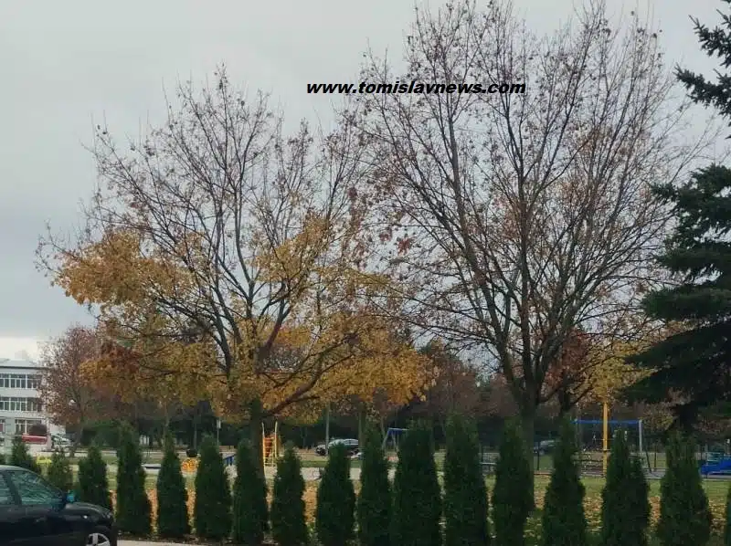 DOBRO vam umjereno vedro i vjetrovito jutro iz Tomislavgrada!