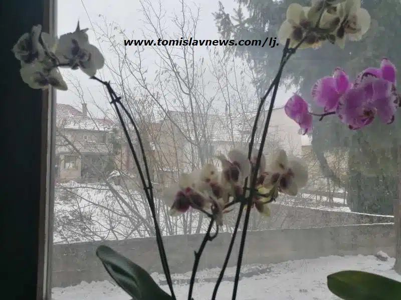DOBRO vam umjereno oblačno i hladno jutro iz Tomislavgrada!