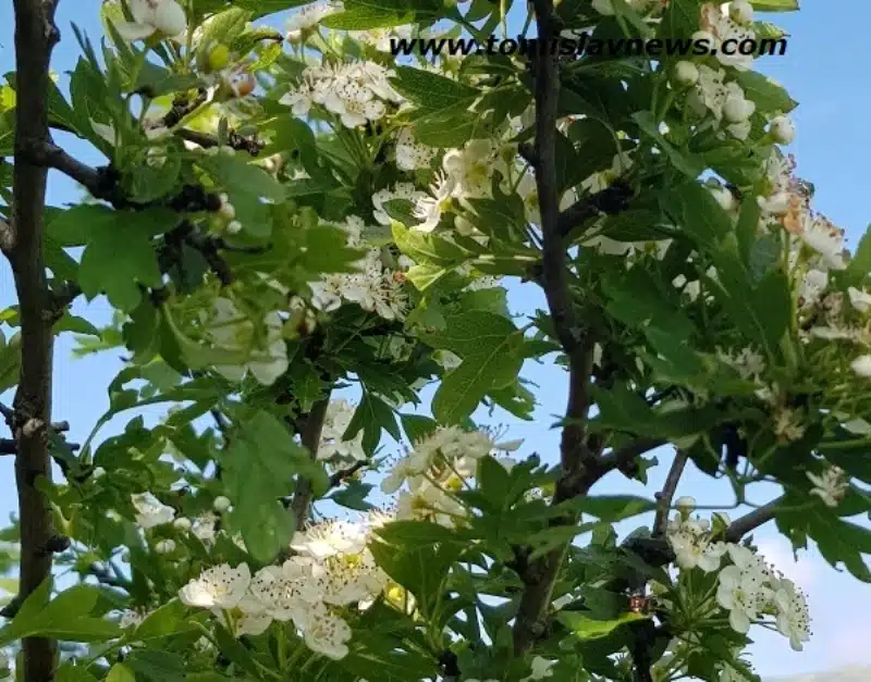 UZ PRVI dan proljeća danas je i Međunarodni dan sreće! Koje su najsretnije zemlje na svijetu? Što je za vas sreća?