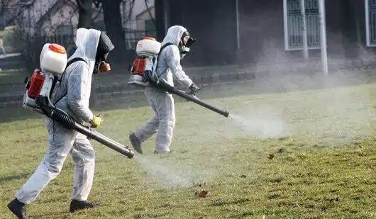 Obavijest o prvoj mjeri dezinsekcije na području općine Neum