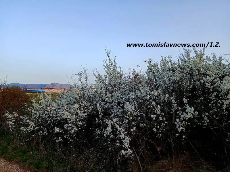 DOBRO vam pretežno vedro jutro iz Tomislavgrada!