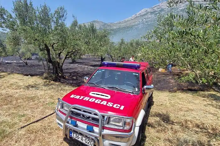 FOTO | Broćanac: Gorjelo blizu kuća i maslinika, vatrogasci zaustavili širenje požara