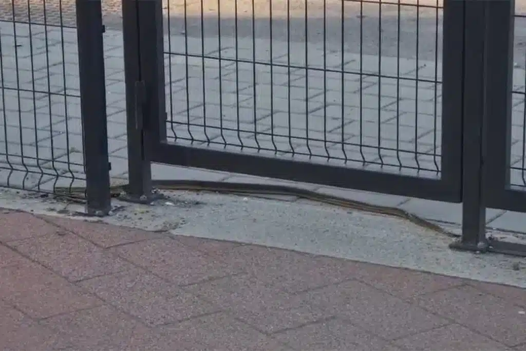 Medvjed šeta Banj brdom, zmija pred školom