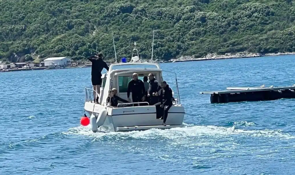 Ronioci u akciji: Lažna uzbuna u Neumskom zaljevu