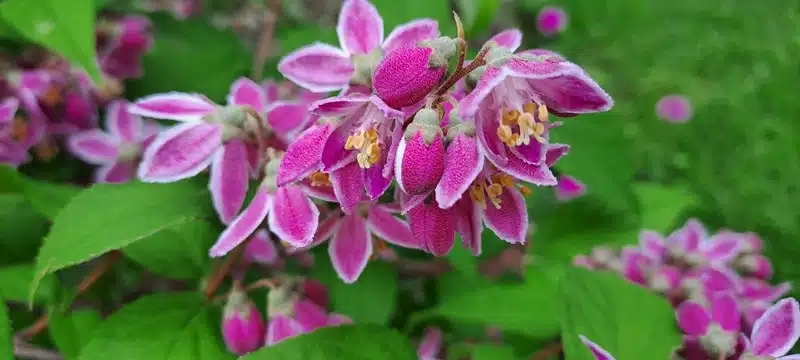 DOBRO vam vedro i toplo jutro iz Tomislavgrada!