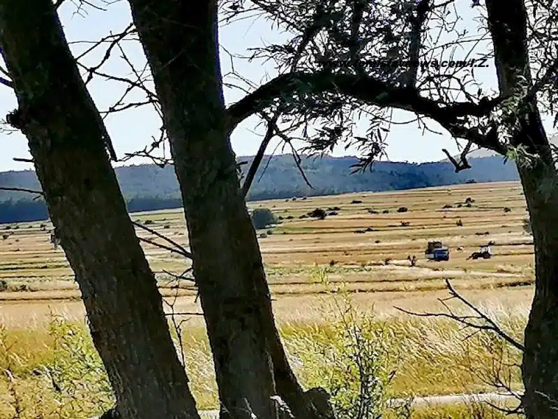 DOBRO vam vedro i toplo jutro iz Tomislavgrada!
