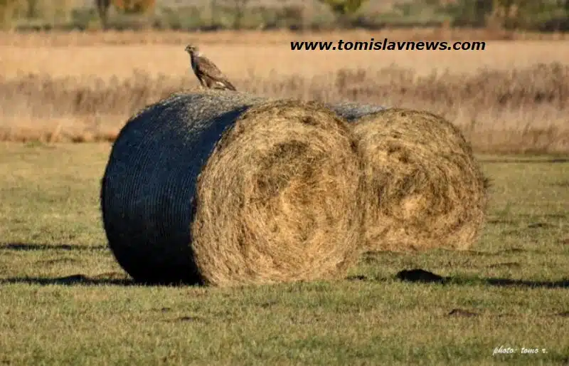 DOBRO vam umjereno vedro i toplo jutro iz Tomislavgrada!