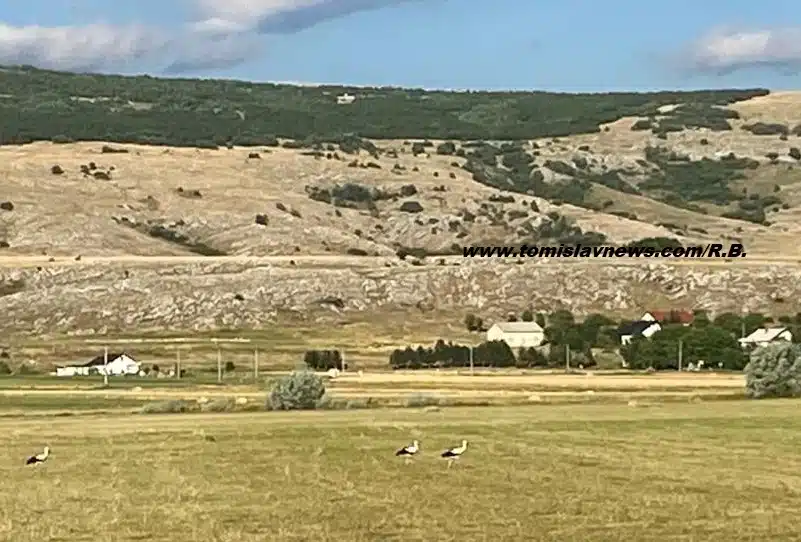 DOBRO vam umjereno vedro, vjetrovito i prohladno jutro iz Tomislavgrada!