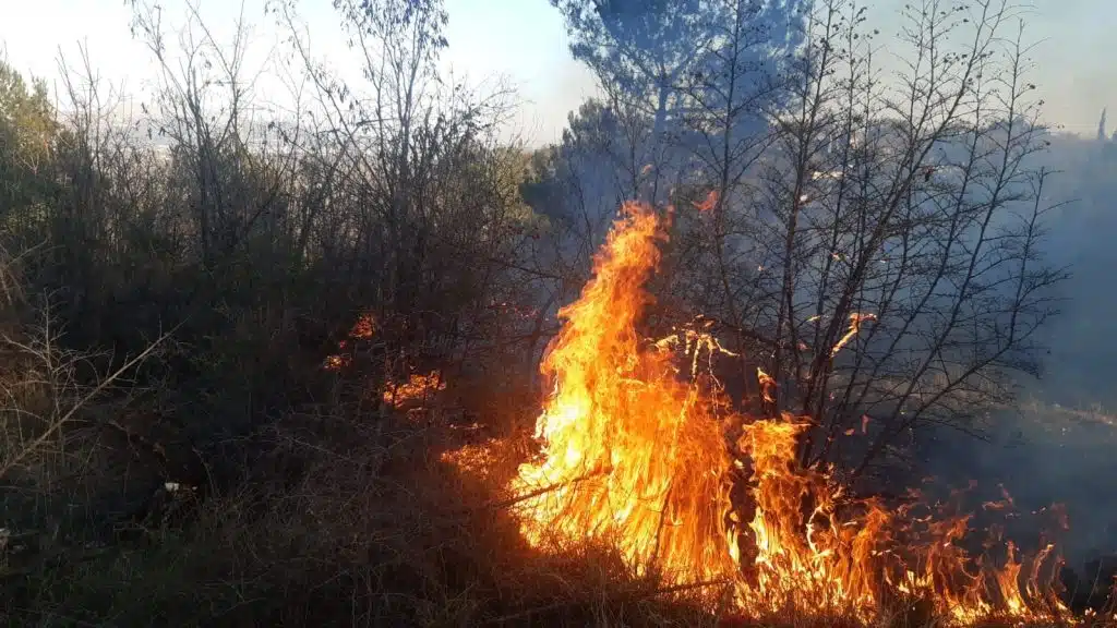 Ljubuški vatrogasci na intervencijama, građanima napomena o strogoj zabrani paljenja vatre