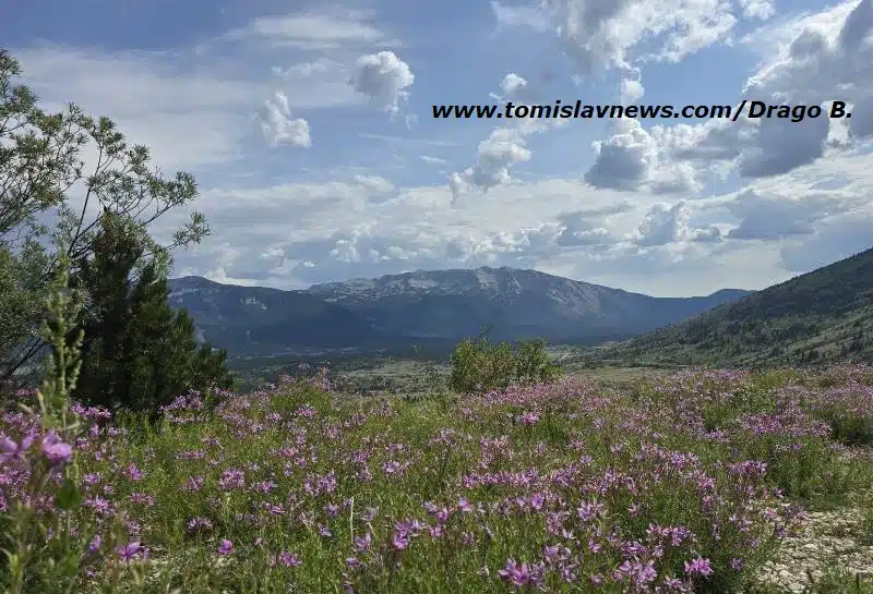 VIDEO: DOBRO vam umjereno vedro i toplo jutro iz Tomislavgrada!