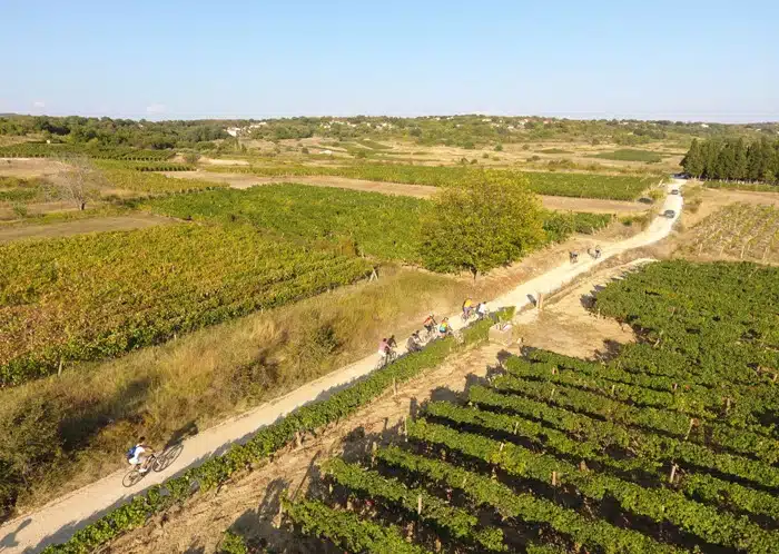 Cilj ovogodišnje biciklističke ture su Kameni vinogradi