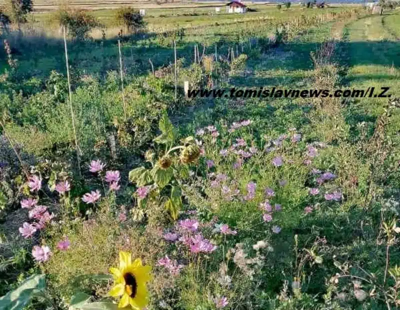 DOBRO vam oblačno i razmjerno toplo jutro iz Tomislavgrada!