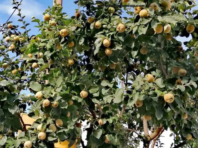DOBRO vam pretežno vedro i pohladno jutro iz Tomislavgrada!