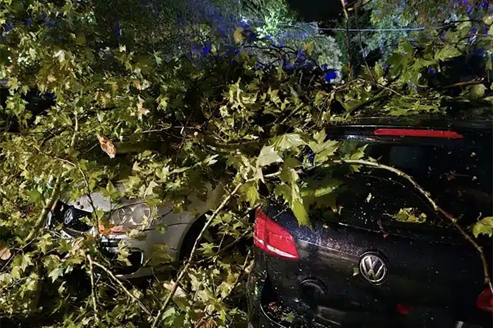 FOTO | CZ o nevremenu u Čapljini: Oštećena auta, ičupana stabla, blokirane ulice i podrumi…